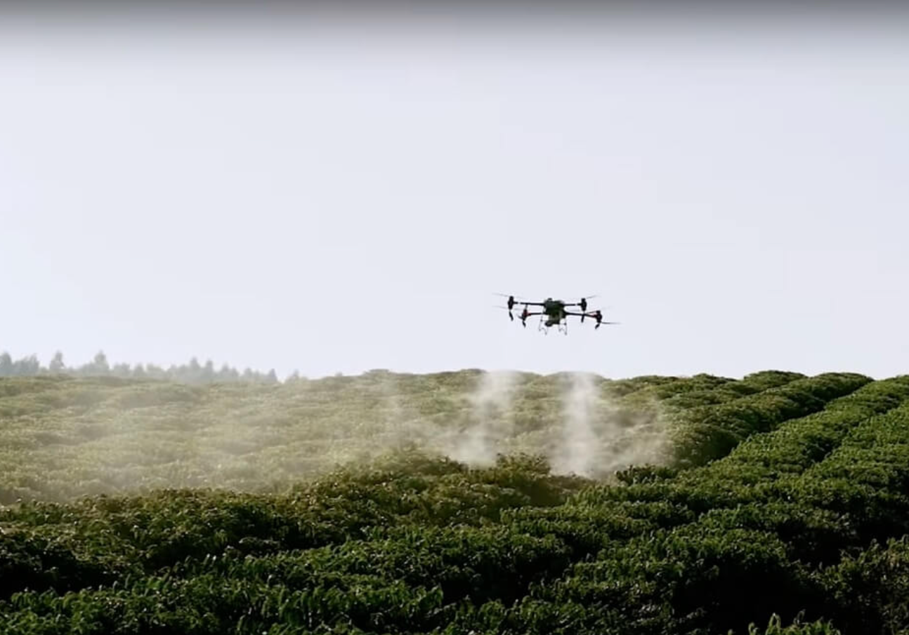 From Farm to Cup: How Artificial Intelligence is Transforming the Coffee Industry