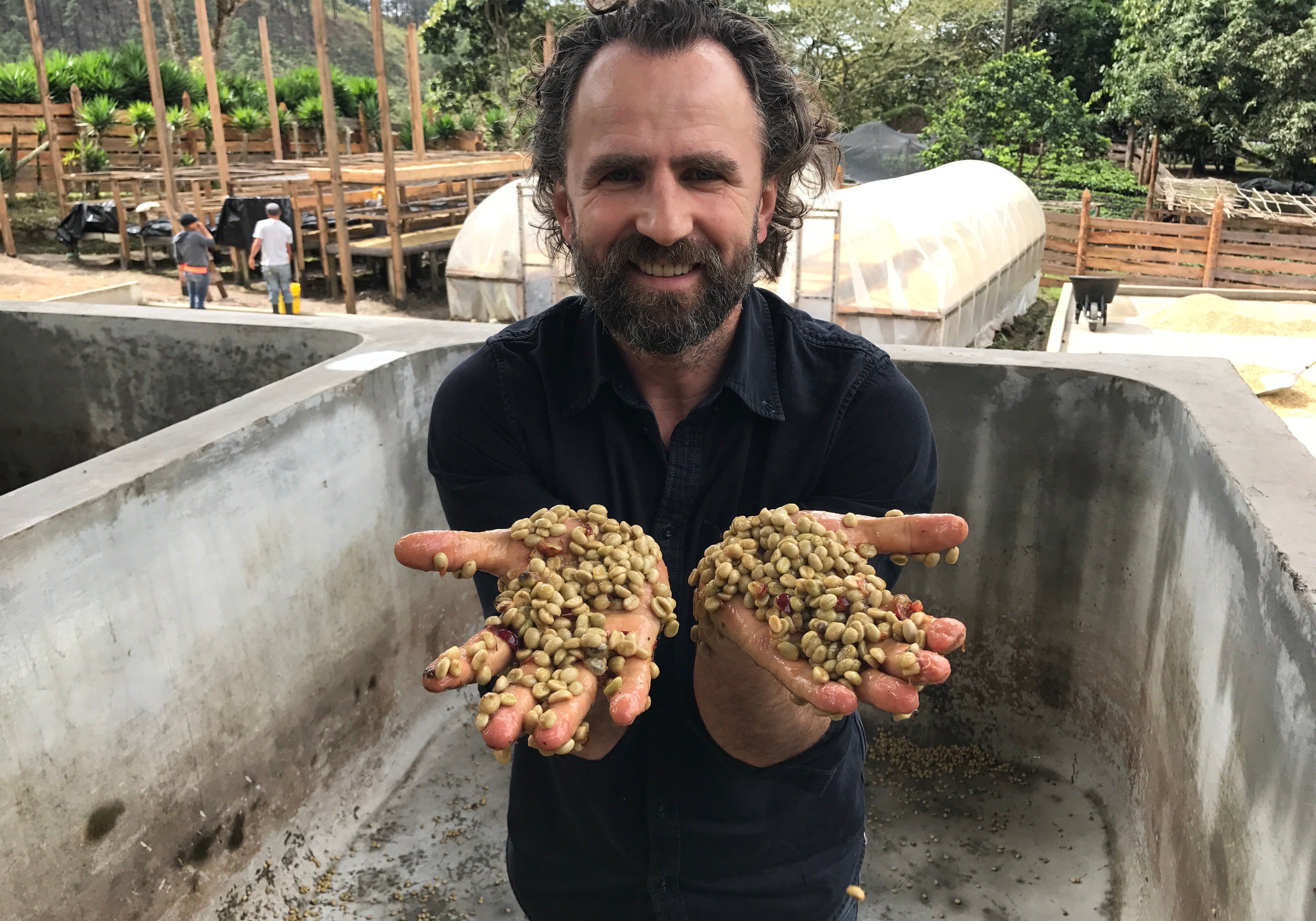 How Coffee is Processed: Dry vs. Washed Explained